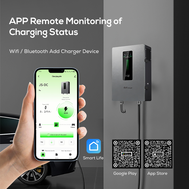Ovrod 20kw 30kw 40kw CCS 2 Gbt Fast DC EV Charger Station Electric Vehicle Charging Station for Public and Household Use