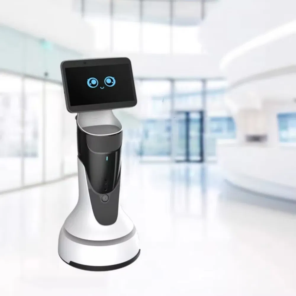 Advanced Smart Ai Commercial Humanoid Robot with Real Human Service