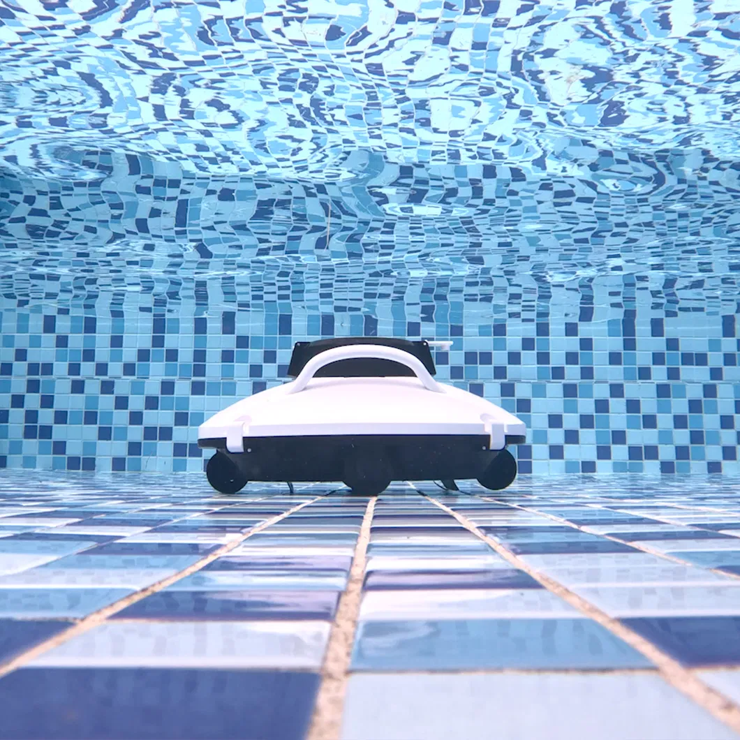 Pool Cleaner Detail 8