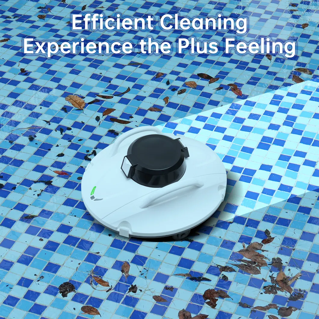 Pool Cleaner Detail 2