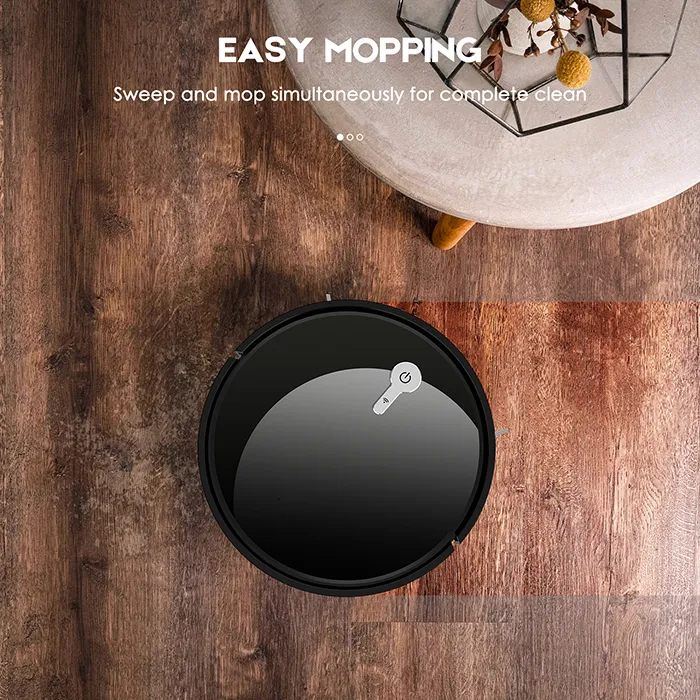 Robot Vacuum and Mop Display 2