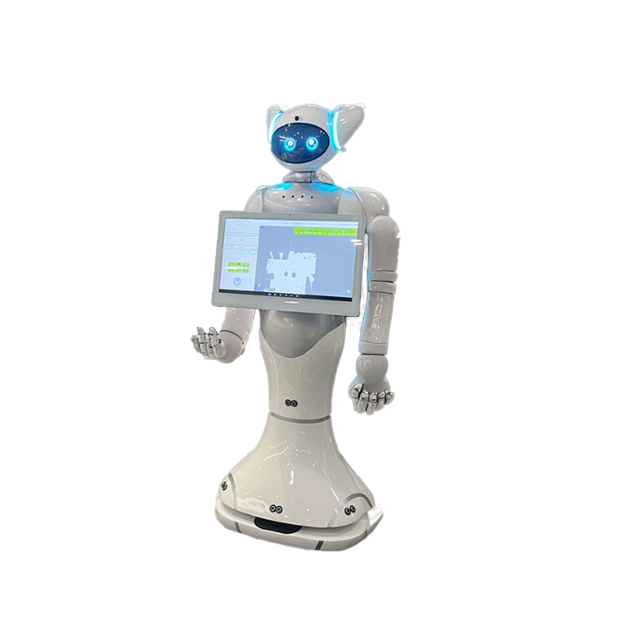 Peipei3 Intelligent Service Robot Automatically Explains and Provides Interactive Q&a