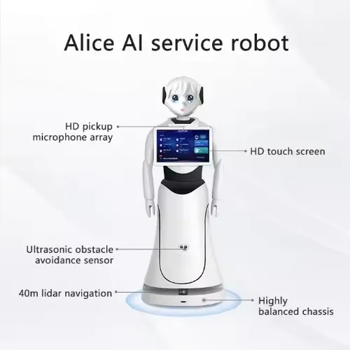 Service Robot Overview