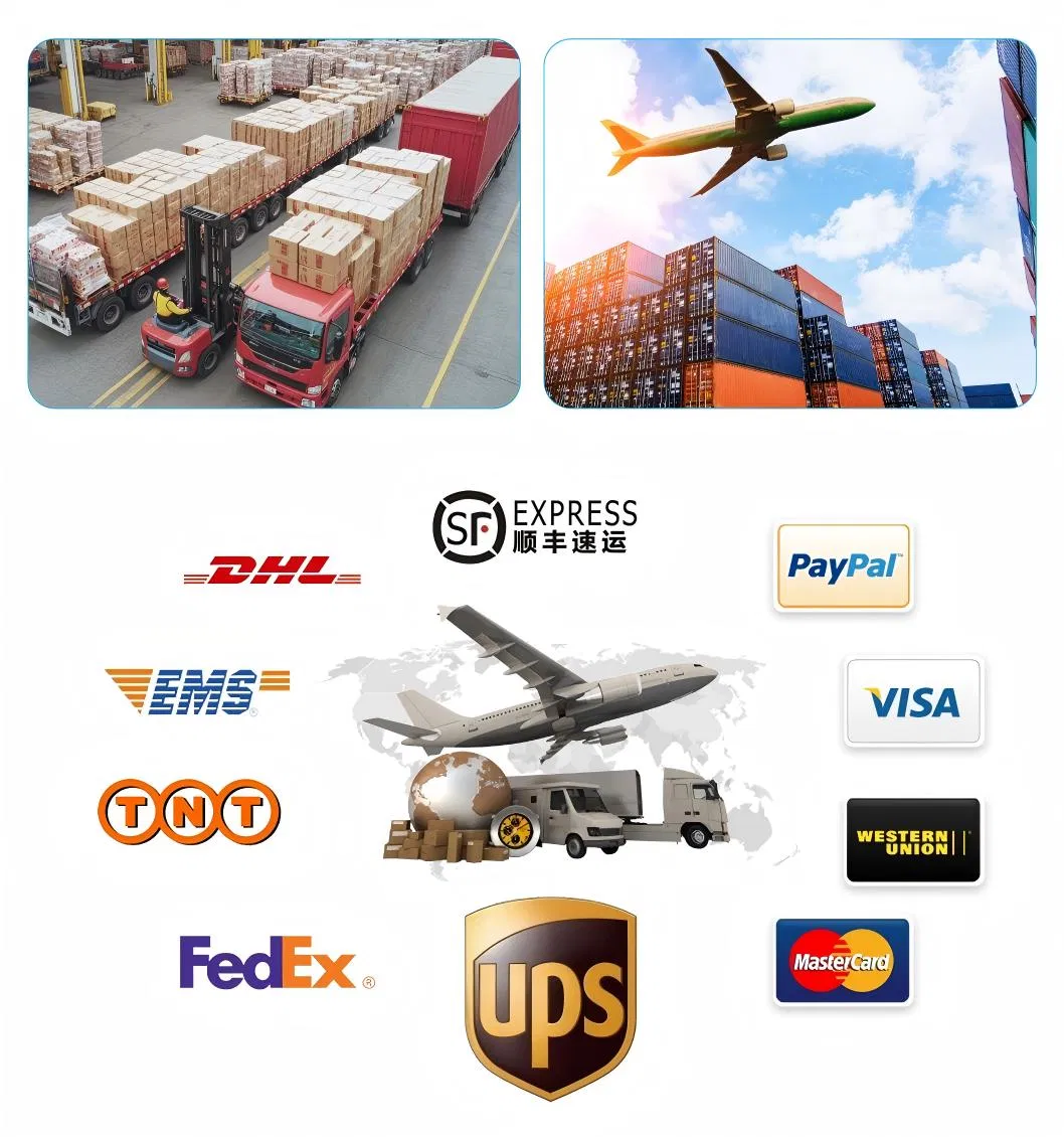 Shipping Logistics