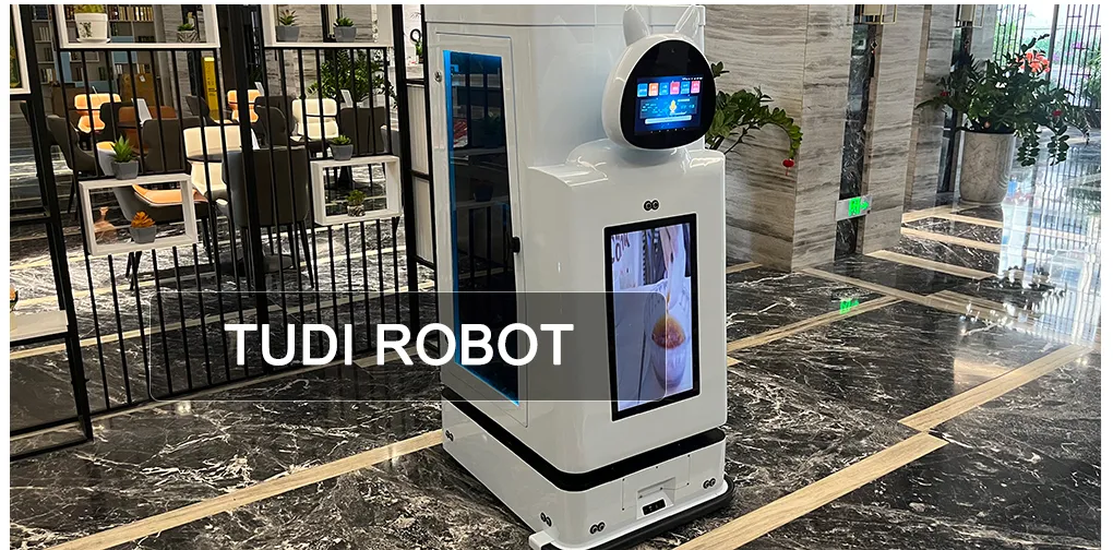 Snack Delivery Robot