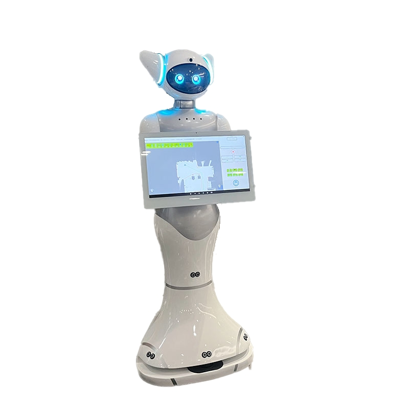 Peipei3 Intelligent Service Robot Automatically Explains and Provides Interactive Q&a