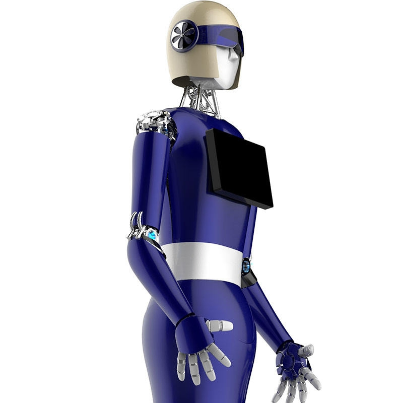 Commercial Intelligent Reception Terminal-Landou Service Robot