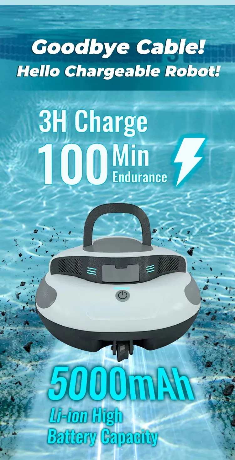 Pool Cleaner Detail 1
