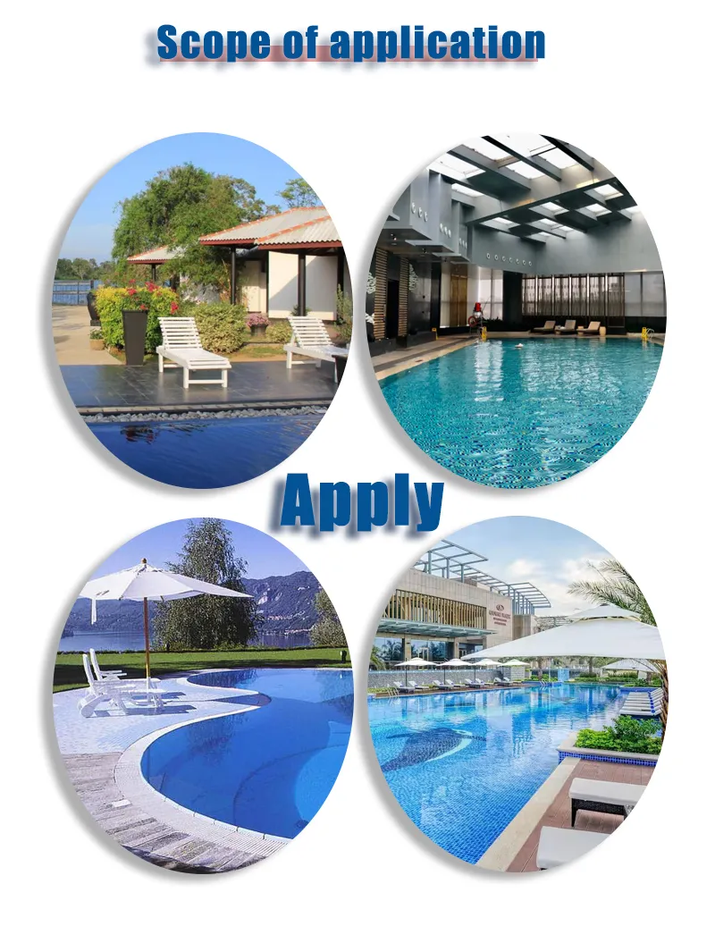 Pool Cleaner Application