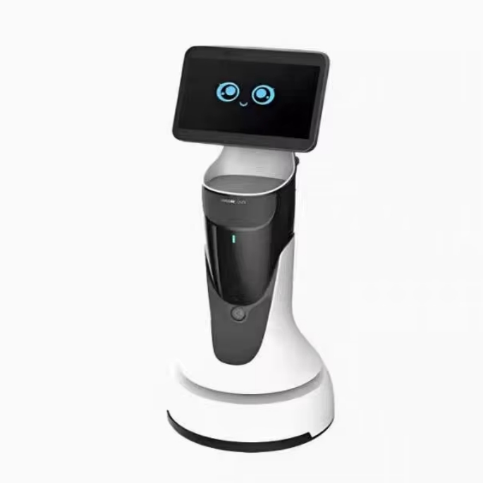 Advanced Smart Ai Commercial Humanoid Robot with Real Human Service