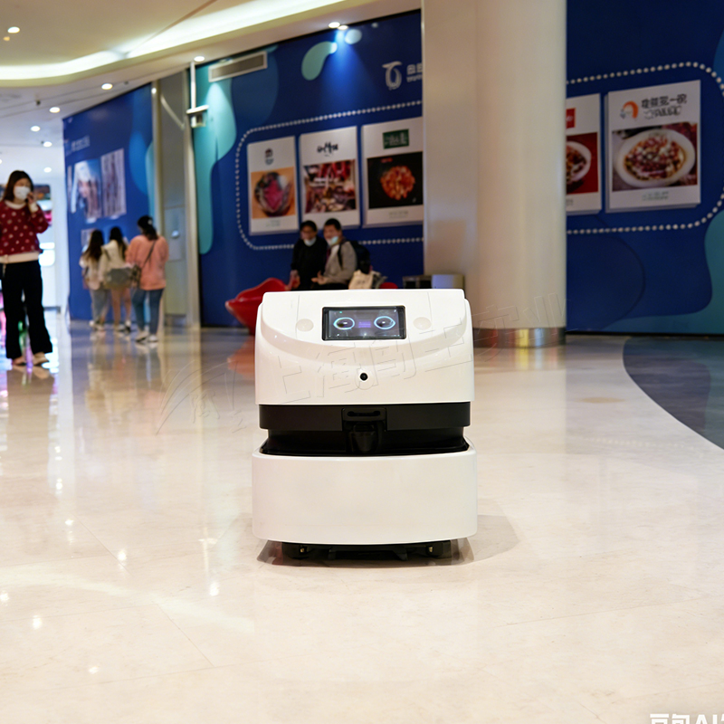 Industrial Robot for Public Space Cleaning