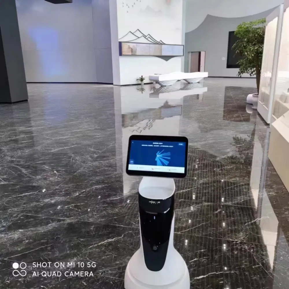 Smart Humanoid Robot Feature 4