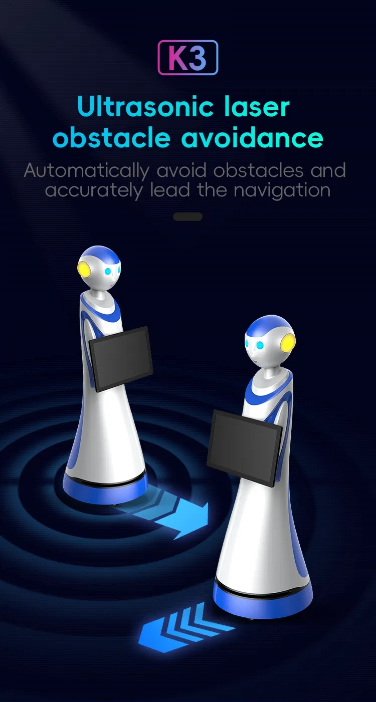 Reception Robot View 5