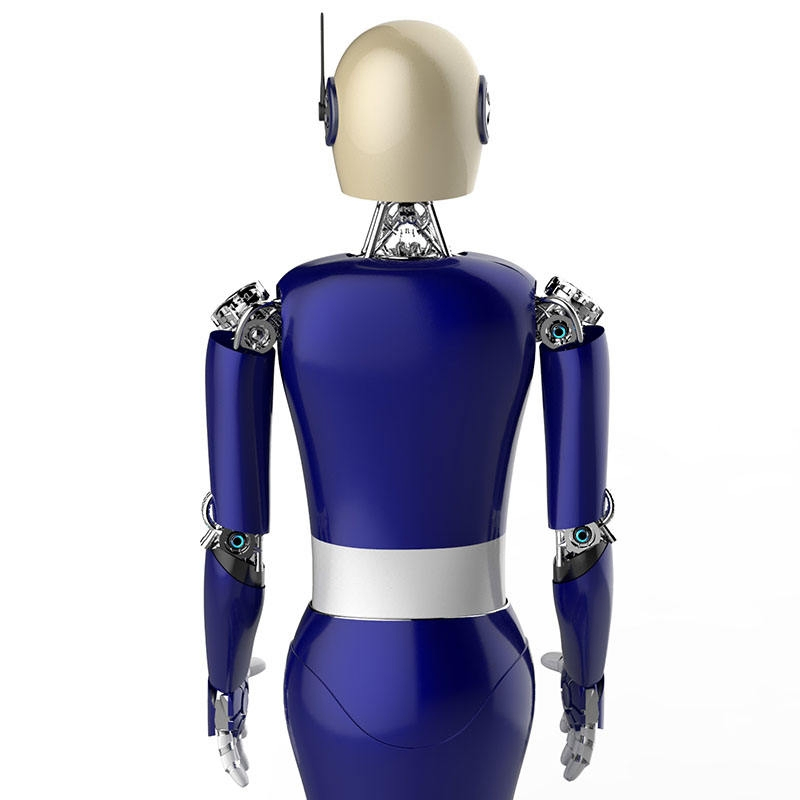 Commercial Intelligent Reception Terminal-Landou Service Robot