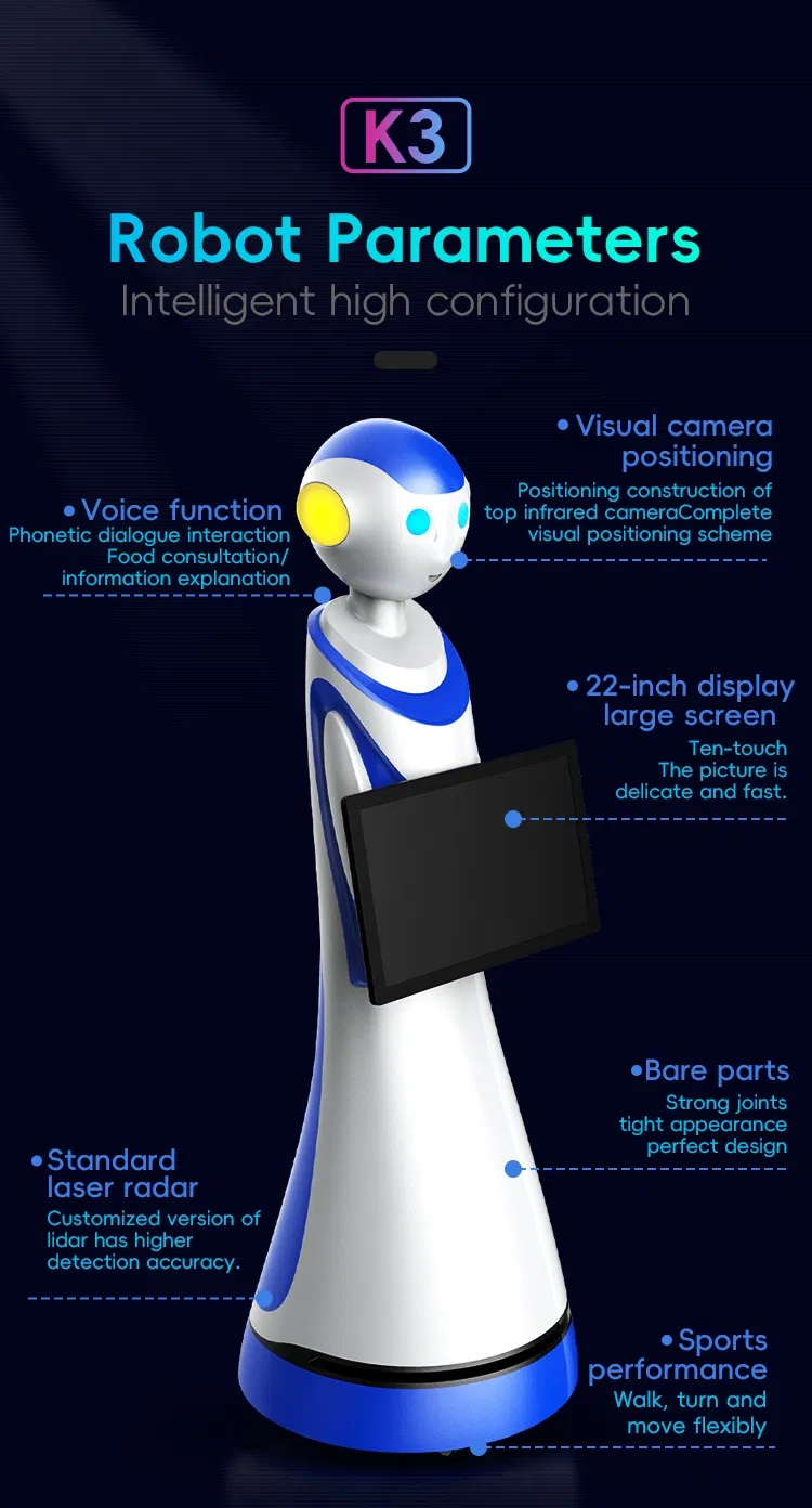 Reception Robot View 3
