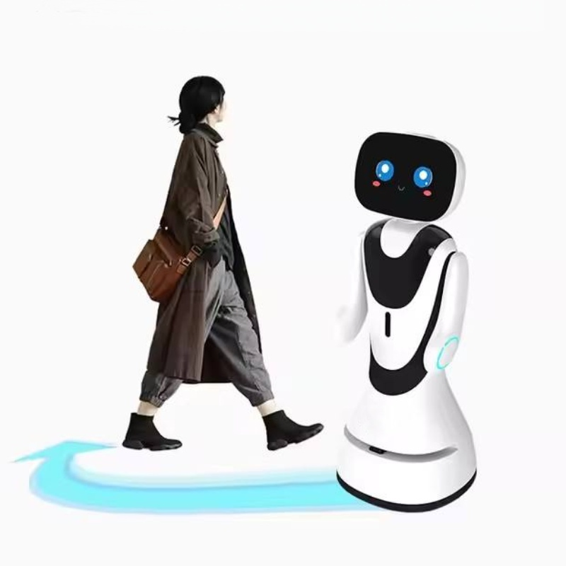 Programmable Open Sdk Intelligent Reception-Timo Service Robot