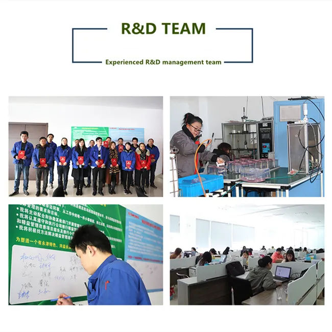 Internal Structure and R&D