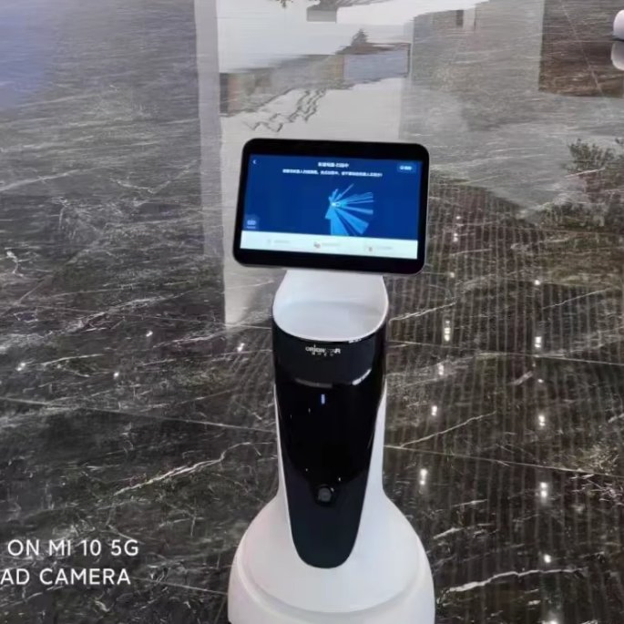 Advanced Smart Ai Commercial Humanoid Robot with Real Human Service