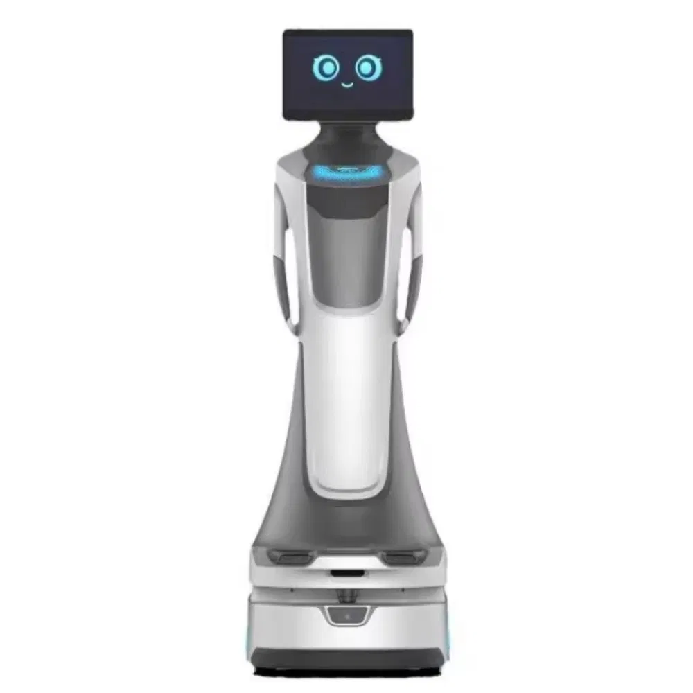 Advanced Smart Ai Commercial Humanoid Robot with Real Human Service