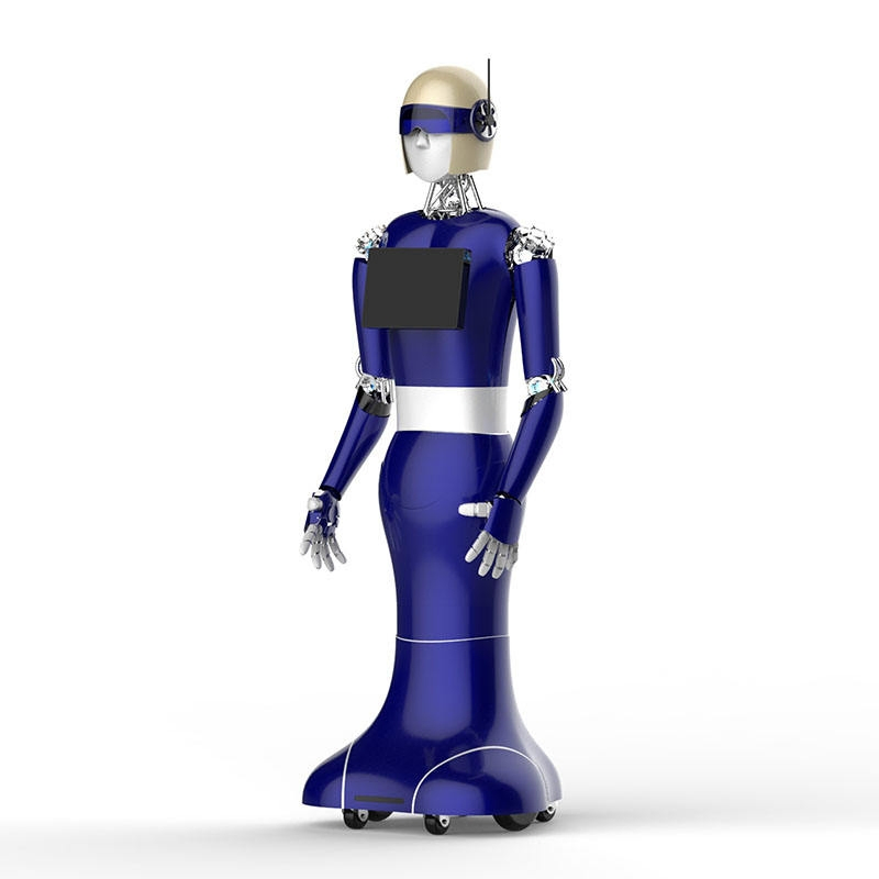 Commercial Intelligent Reception Terminal-Landou Service Robot