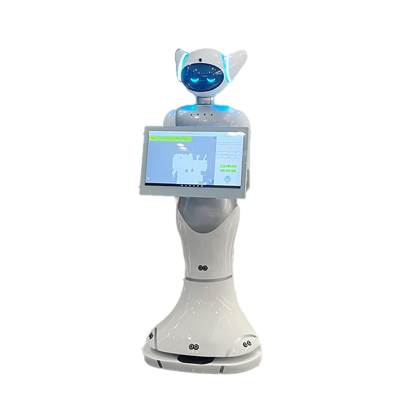 Peipei3 Intelligent Service Robot Automatically Explains and Provides Interactive Q&a