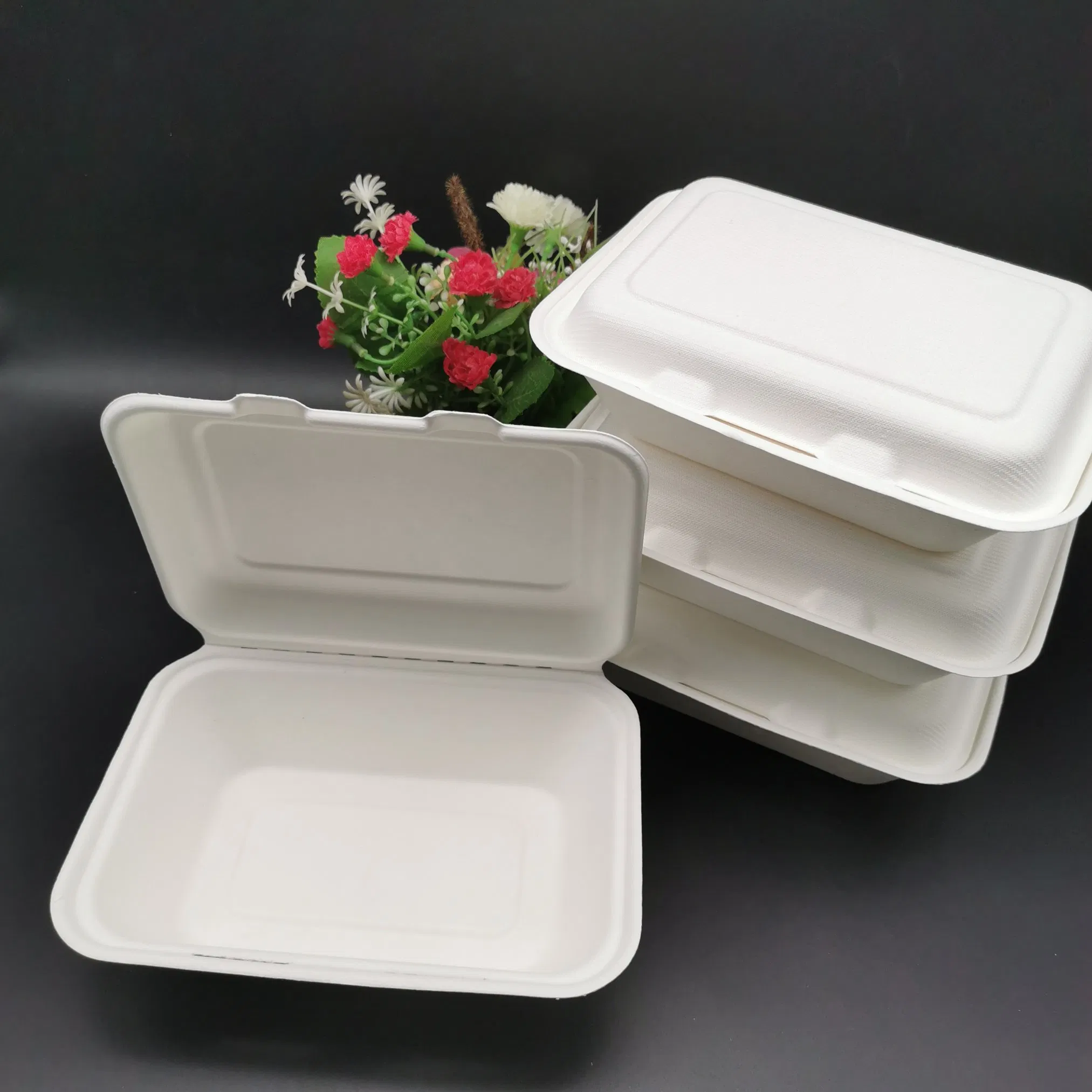 Container de Alimentos Biodegradável e Ecológico 600ml Caixa Clamshell para Alimentos