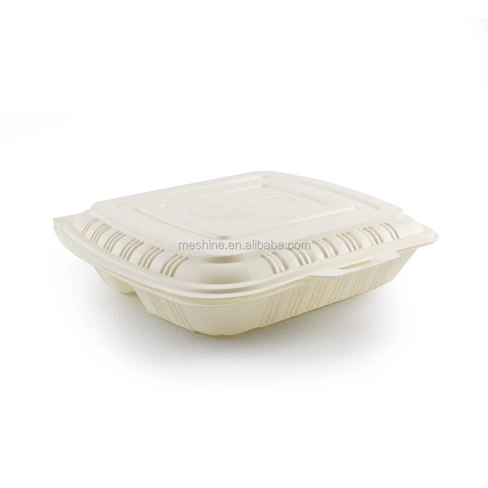 Embalagem para viagem de fast food biodegradável, caixa de bagasse, recipientes para alimentos ecológicos