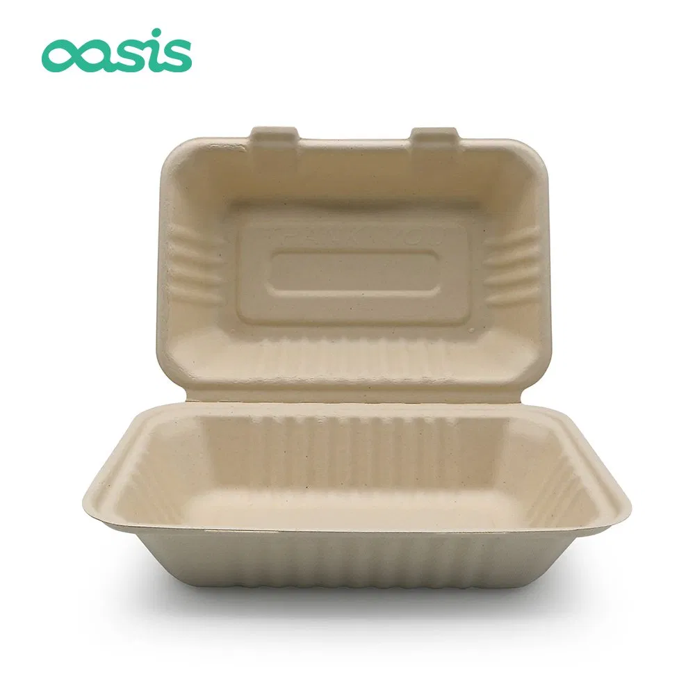 Caixa de Almoço Descartável Biodegradável de Papel de Bagaço de Cana-de-Açúcar Ecológica