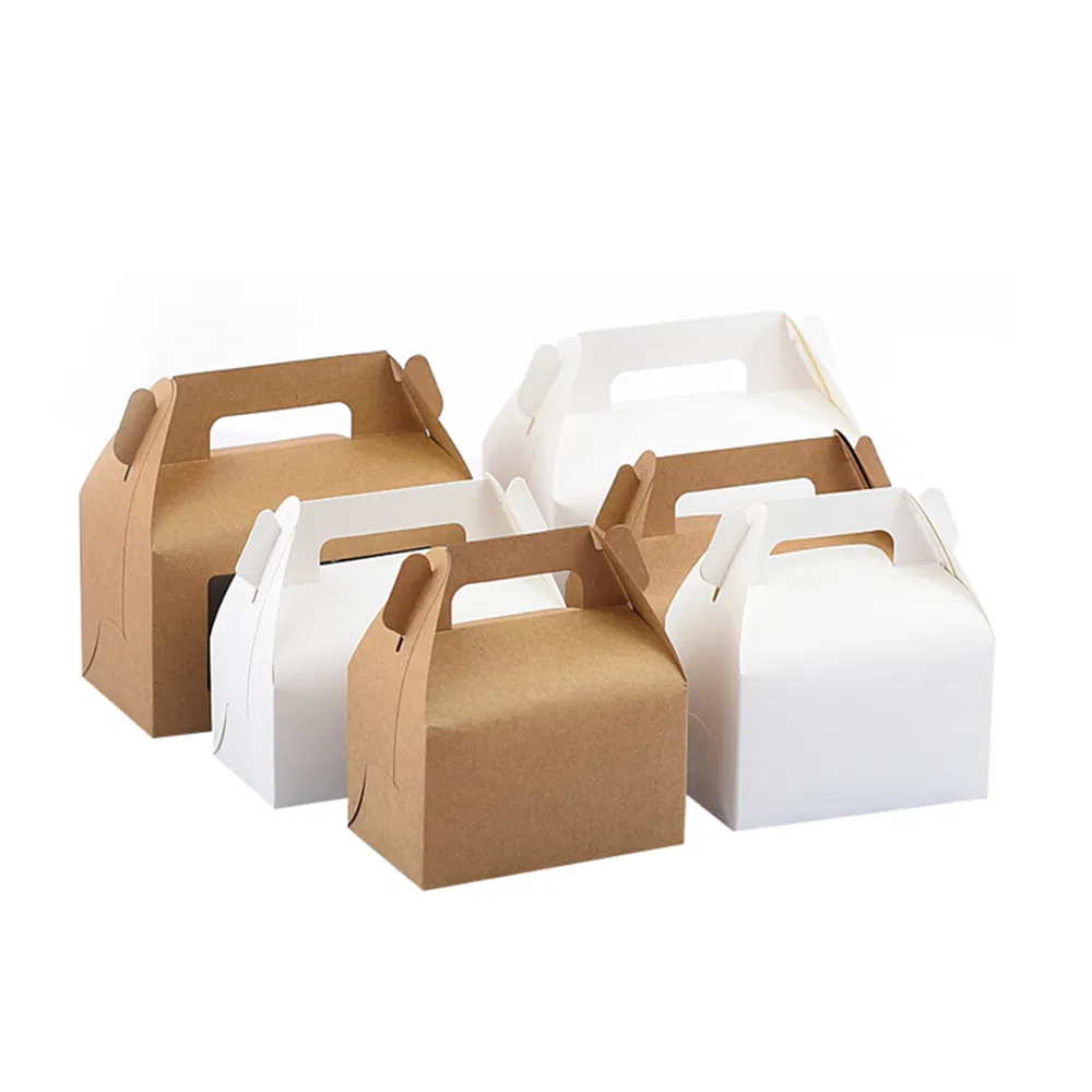 Embalagem de papel descartável 1