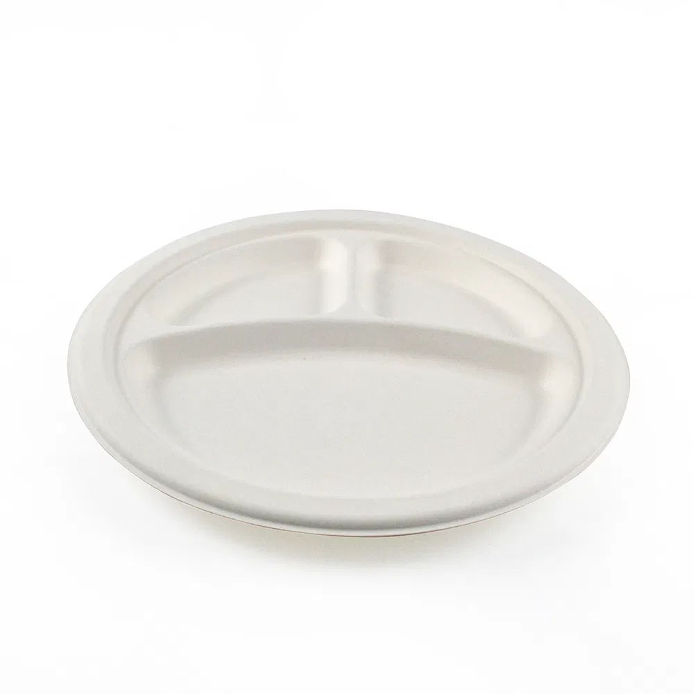 Embalagem para viagem de fast food biodegradável, caixa de bagasse, recipientes para alimentos ecológicos