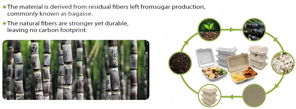 Ecológico
