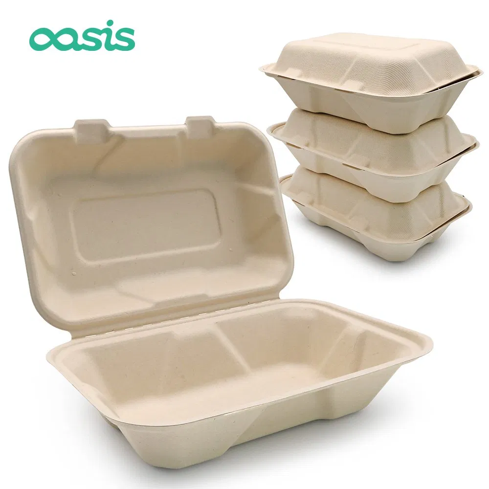Caixas de embalagem de papel biodegradável de bagasse personalizadas e ecológicas para alimentos
