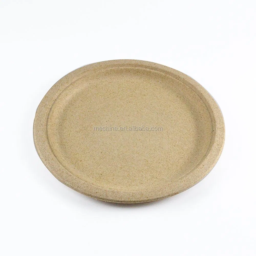 Embalagem para viagem de fast food biodegradável, caixa de bagasse, recipientes para alimentos ecológicos