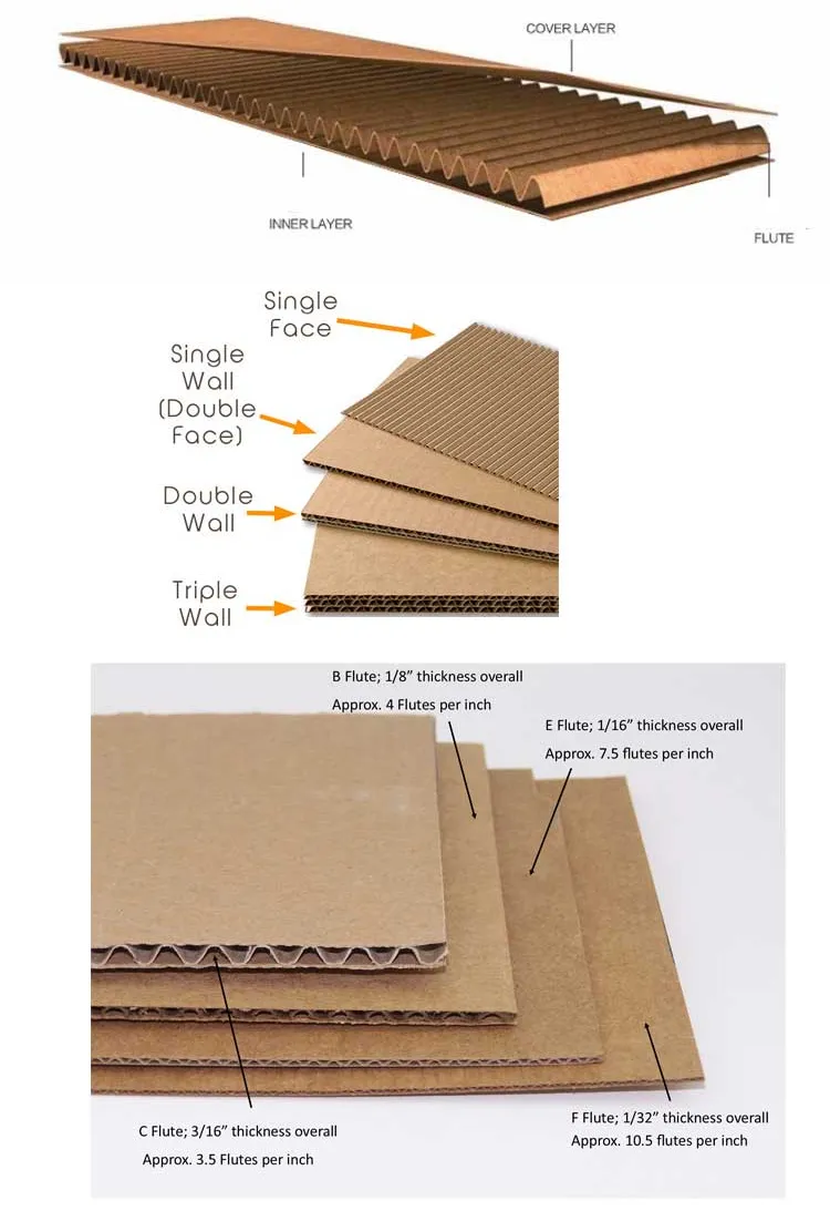 Estrutura do Papel