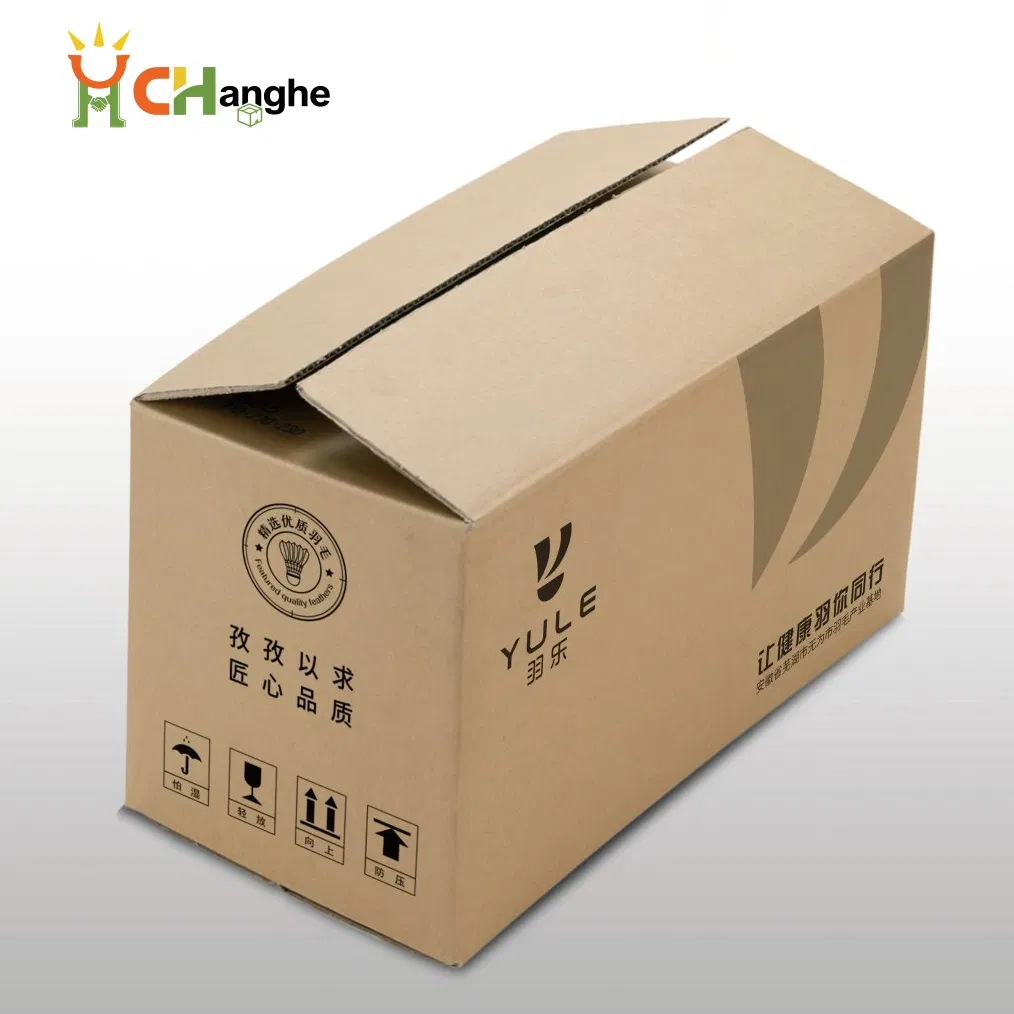 Transporte de E-Commerce Entrega Expressa Envio Mudança Caixa de Papelão Corrugado para Alimentos Frutos do Mar Congelados Cosméticos Bebidas Calçados Roupas Embalagem