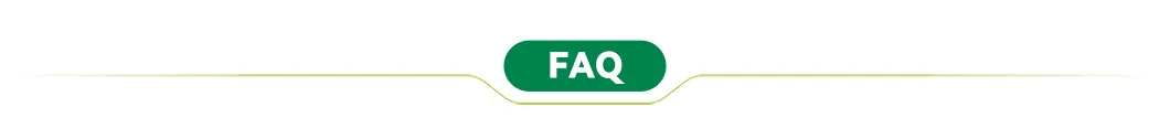 Linha de Base