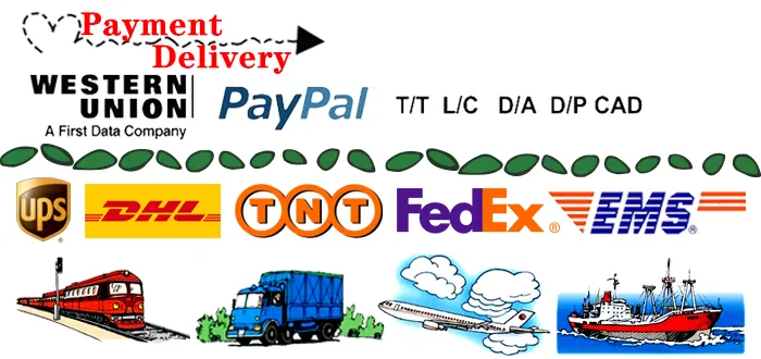 Processo de envio