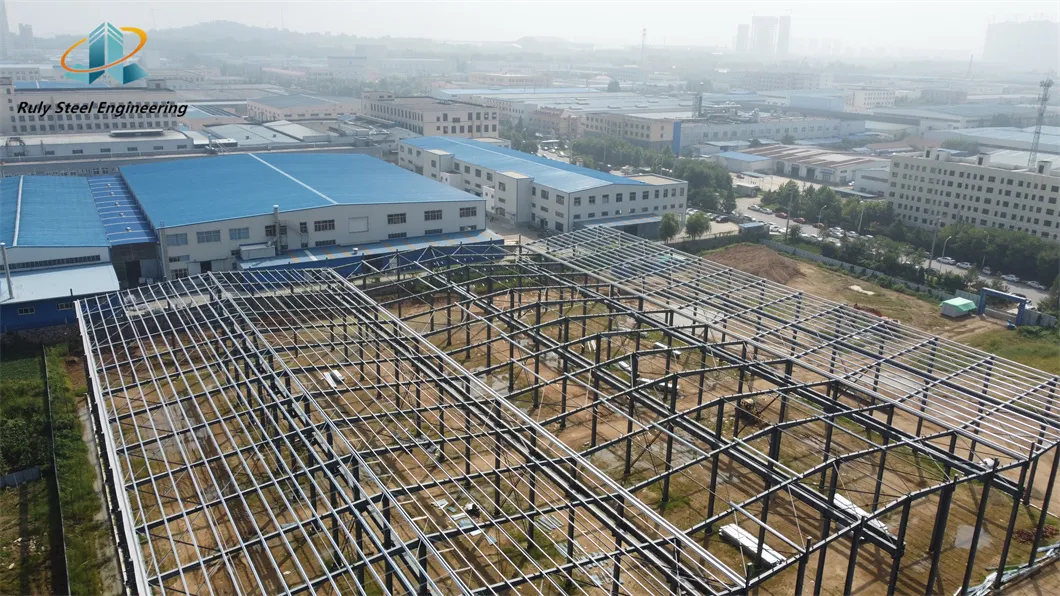 Planta de Processamento de Alimentos em Estrutura de Aço Edifício de Escritório e Armazém em Estrutura de Aço Prefabricada
