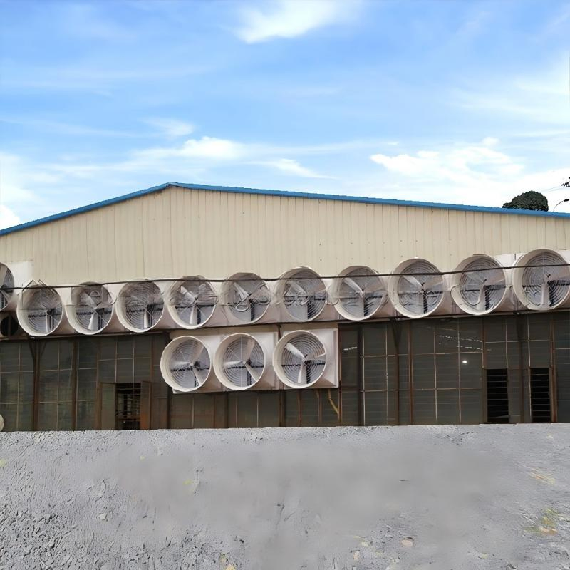 Casa de Camadas Padronizada - Conjunto Completo de Estrutura de Aço Personalizada com Isolamento em PU para Sistema de Habitação Avícola Controlado Climaticamente