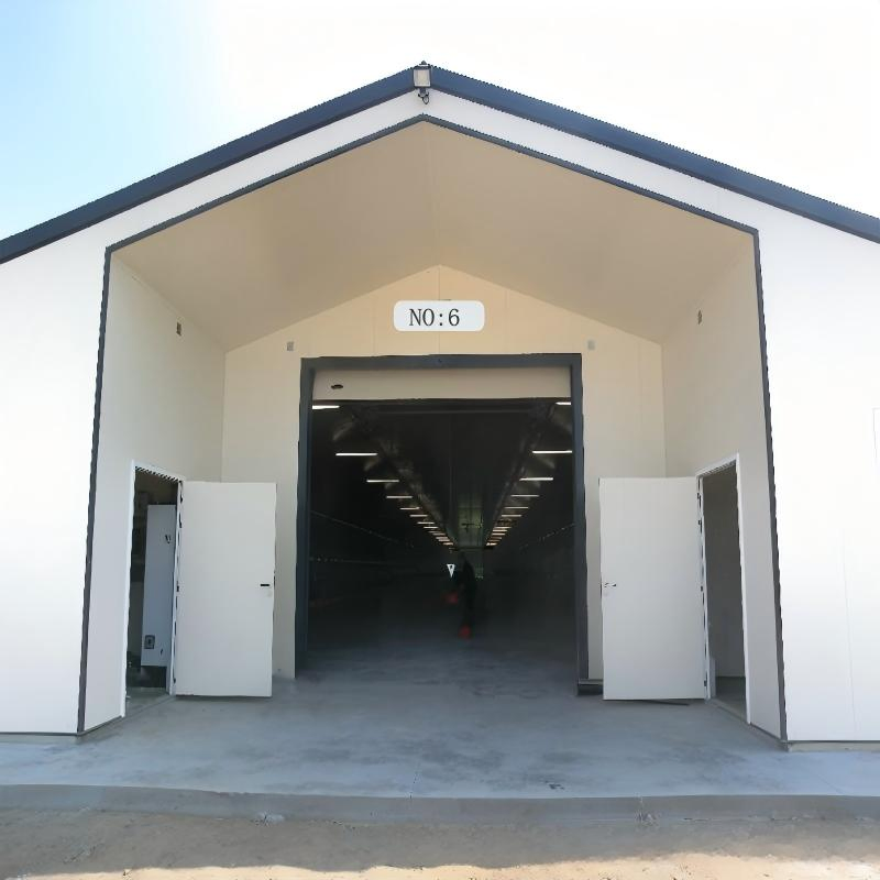 Casa de Camadas Padronizada - Conjunto Completo de Estrutura de Aço Personalizada com Isolamento em PU para Sistema de Habitação Avícola Controlado Climaticamente