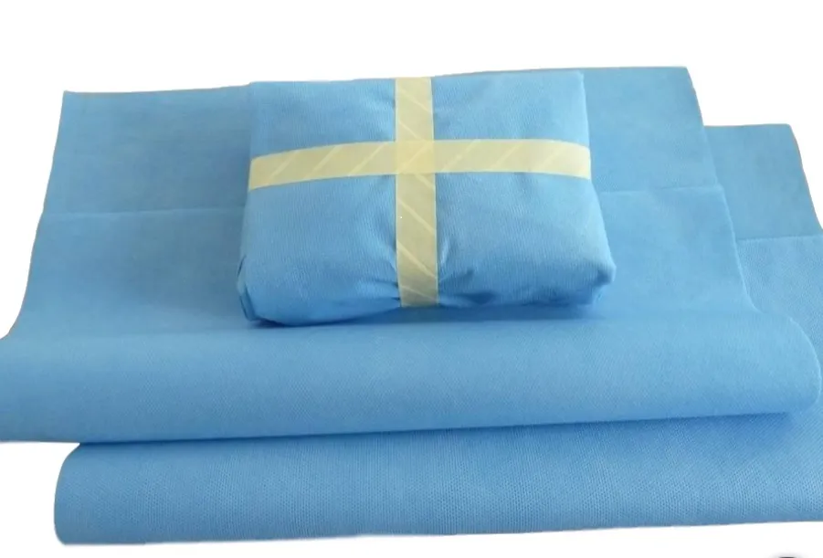 Infection Control Cssd Sterilization Paper