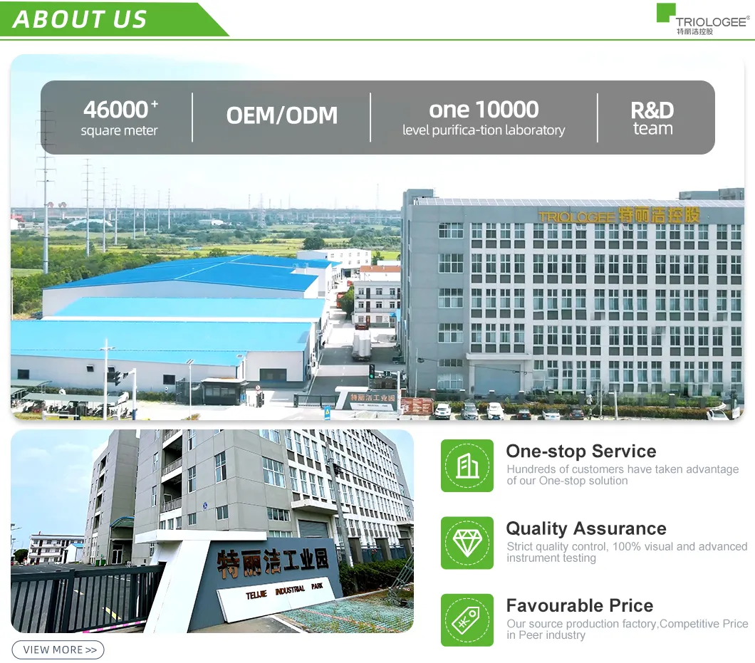 Professional Facility