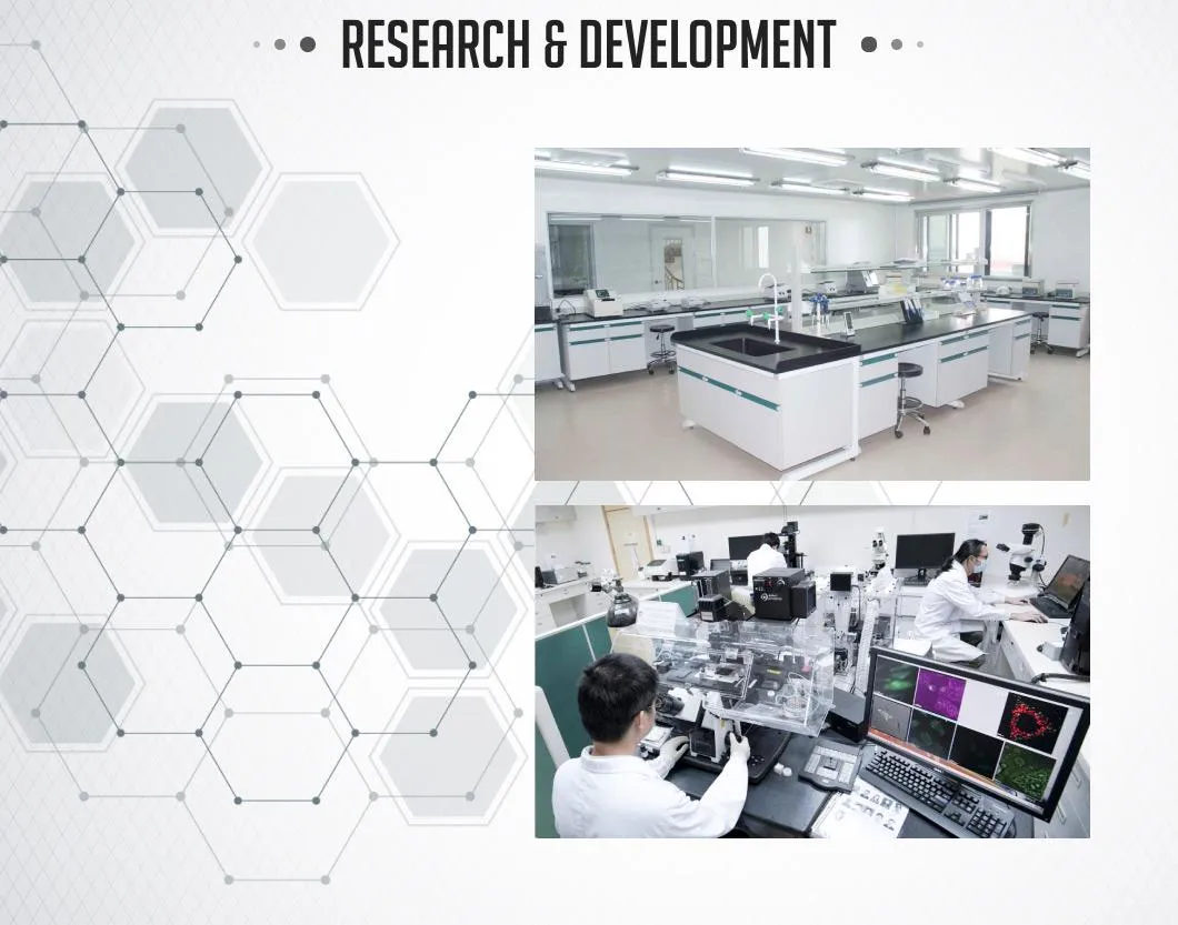 Sterilization Pouch View 5