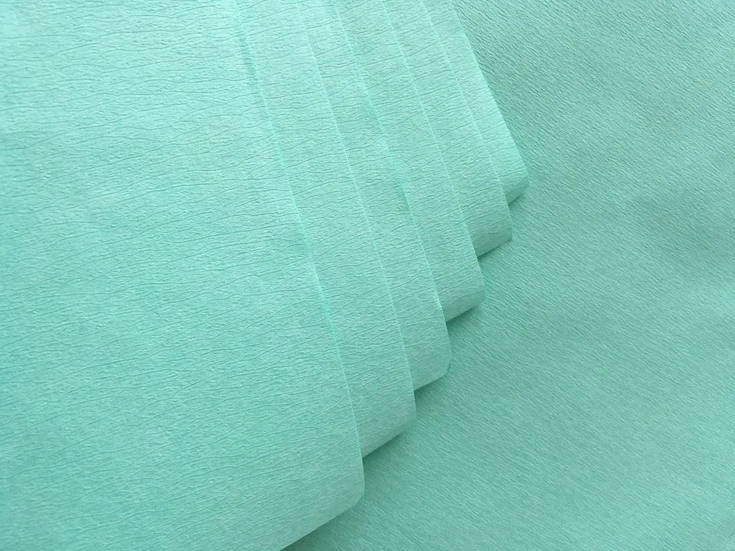 Infection Control Cssd Sterilization Paper