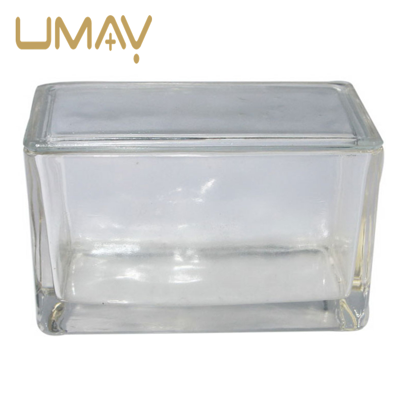Versatile Histology Laboratory Container for Staining and Sample Preparation Stain Jar