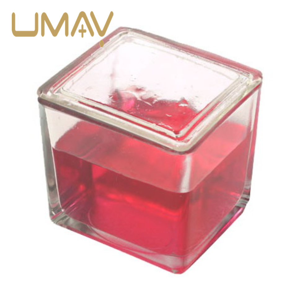 Transparent Lab Staining Jar Glassware for Histology and Pathology Needs