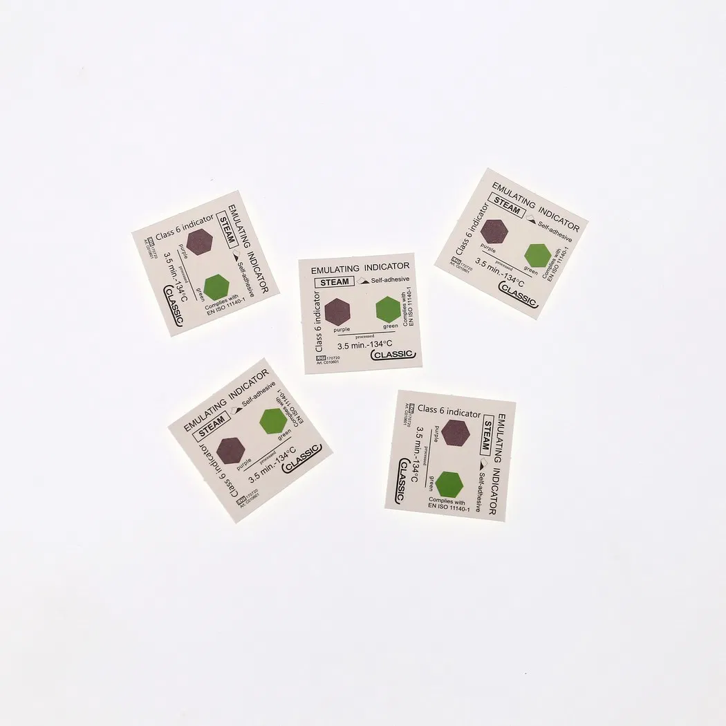 Class 6 Steam Indicator Label View 2