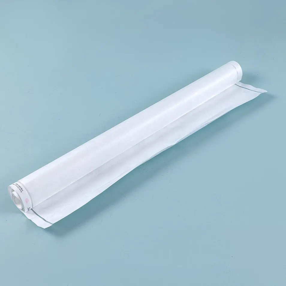 Medical Dialysis Paper 4