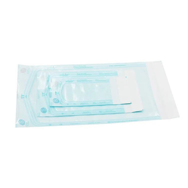 Sterilization Pouch View 1