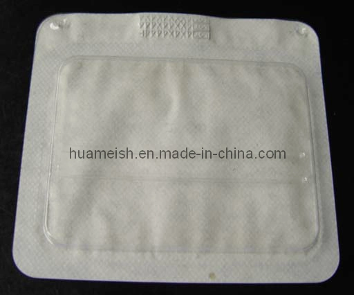 Custom Disposable Sterilization Flat Tyvek Sealing Paper Sterile Blister